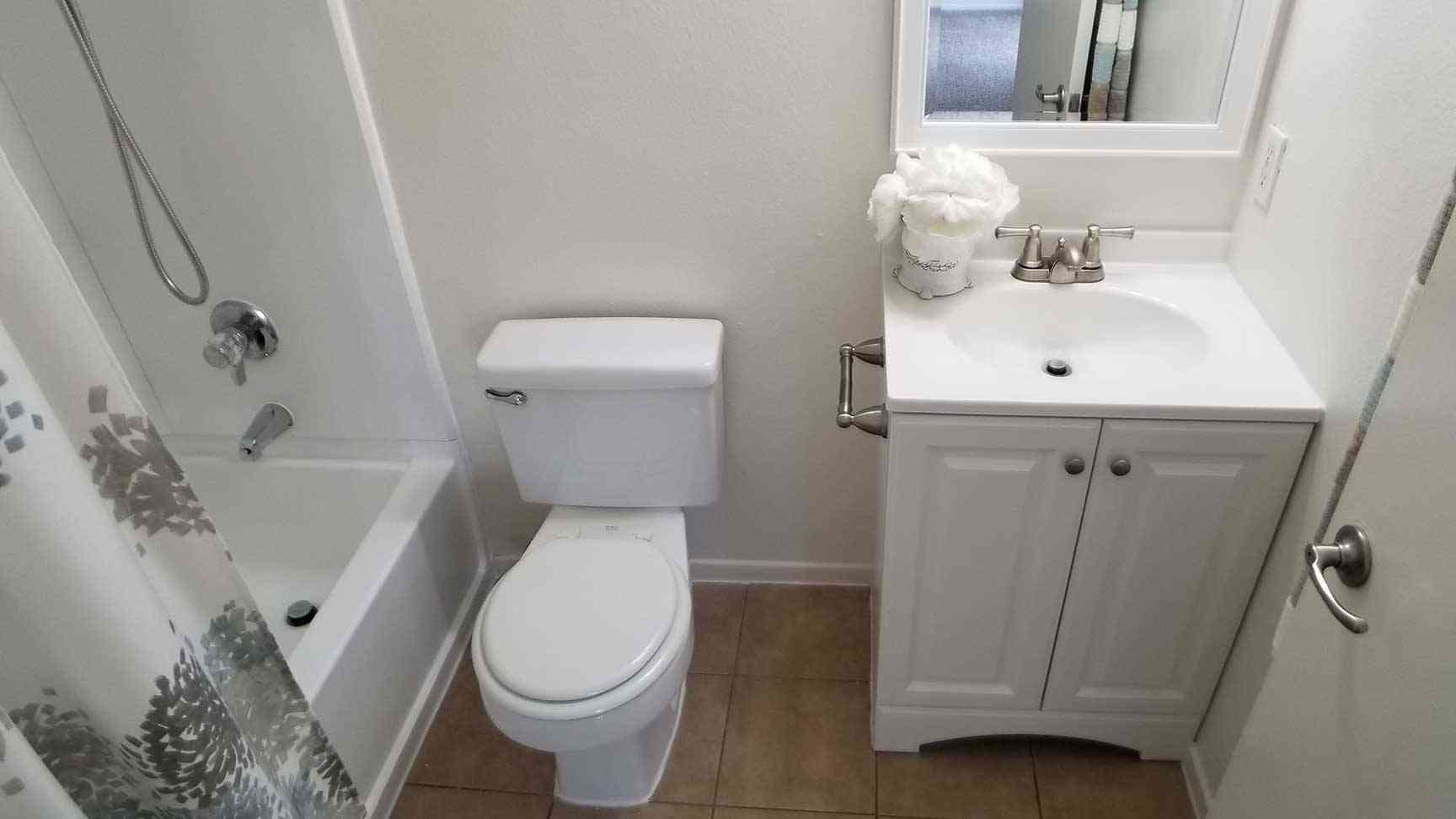 modern bathroom with white shaker vanity